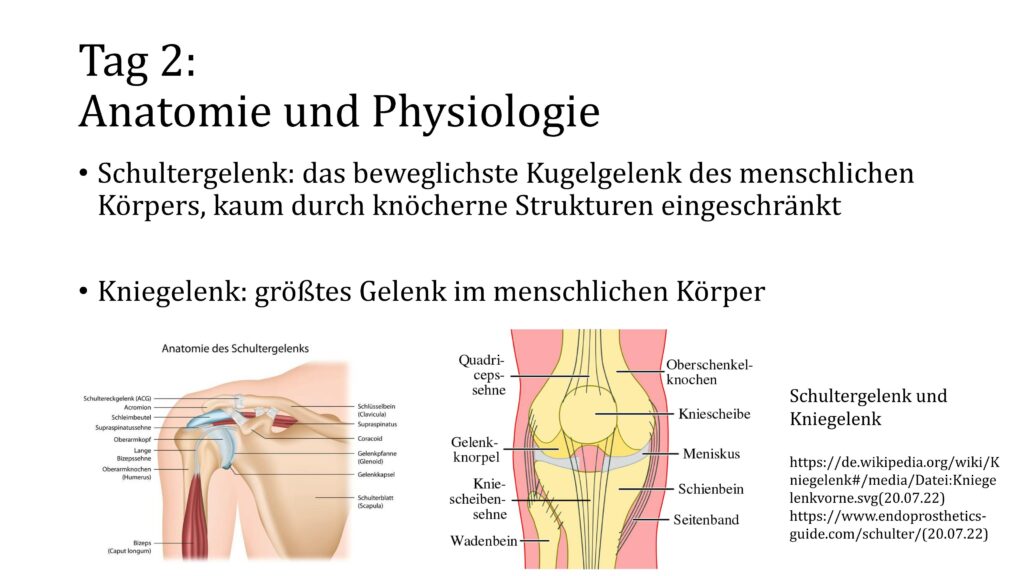 Gesundheit - Jakobi KRU SCI_08