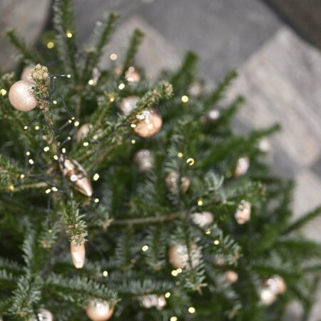 Weihnachtsfeier 2025