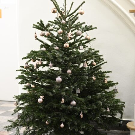 Weihnachtsfeier 2025