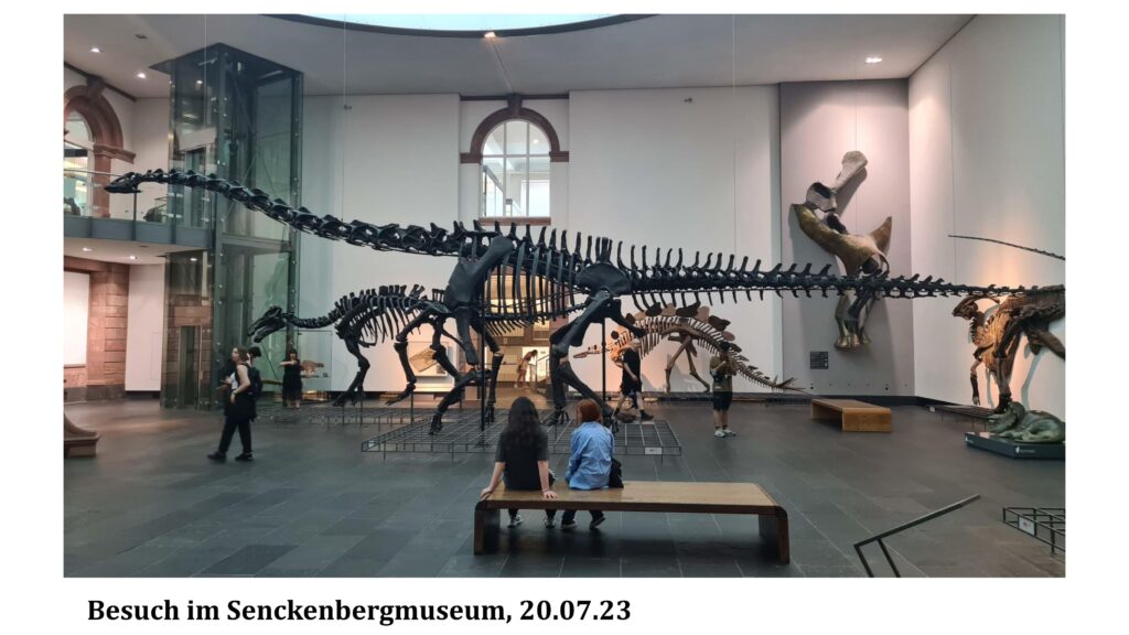 Projekt Dinosaurier Sci 07