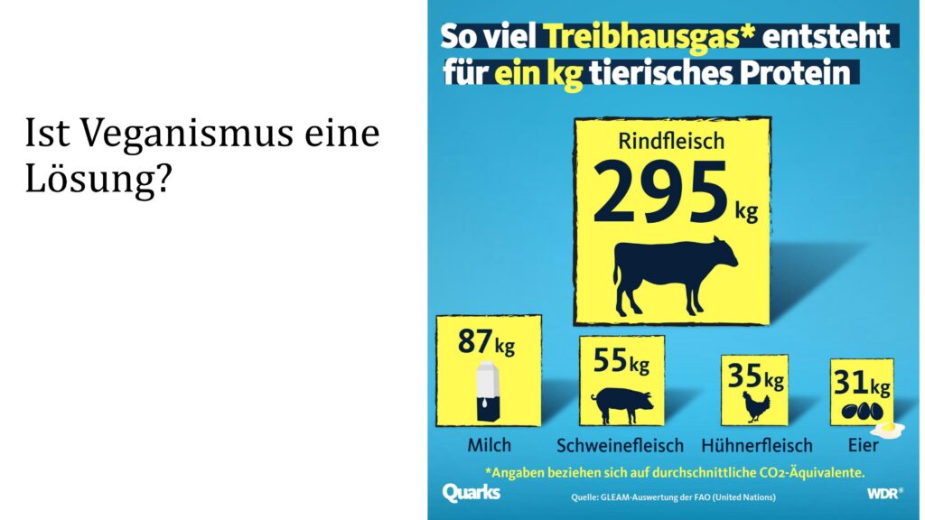 Projekt Veganismus Rühl Kru 09